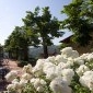 FONTEBUSSI - Foto 4
